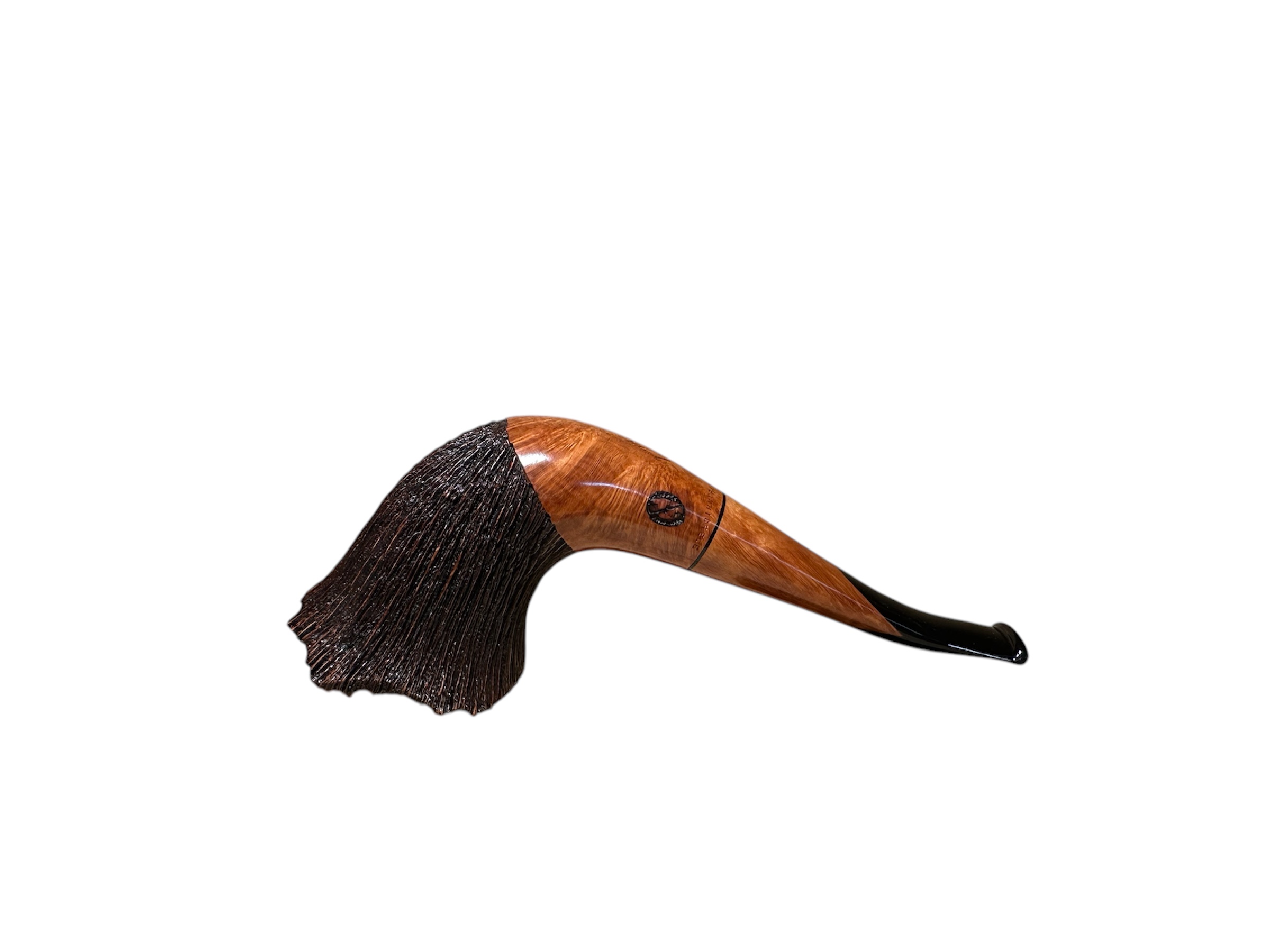 PIPA AMORELLI - immagine 6